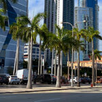 <strong>Turistas por un día en el centro de Miami</strong>