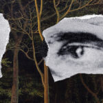 Perseverancia: una mirada profunda al arte y la vida de Tomás Sánchez  